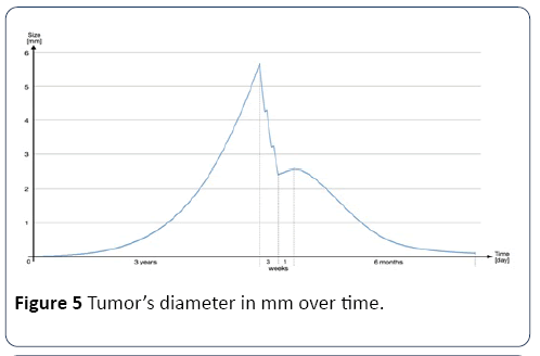 hsj-diameter