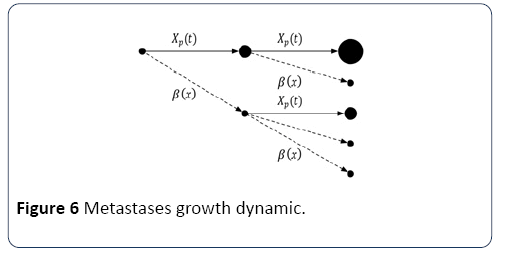 hsj-dynamic