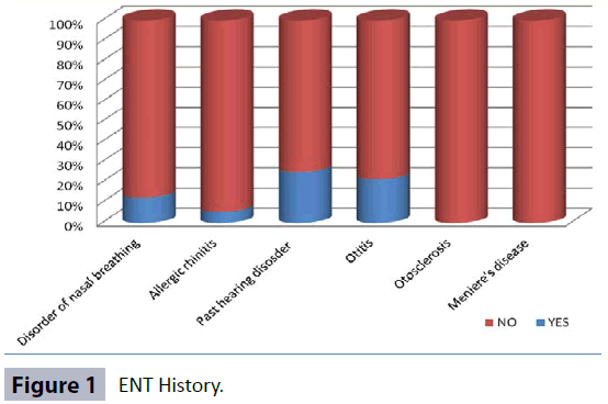 hsj-ent-history