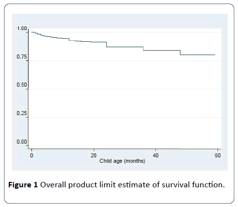 hsj-estimate