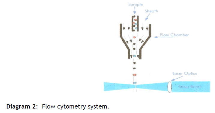 hsj-flow-cytometry-system