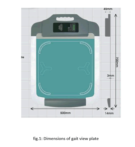 hsj-gait-view-plate