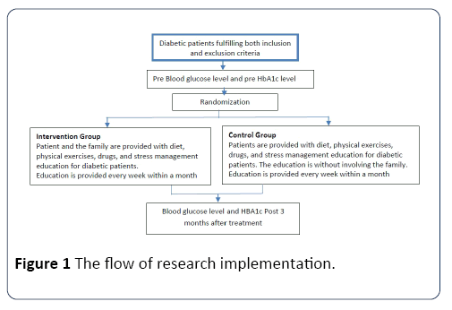 hsj-implementation