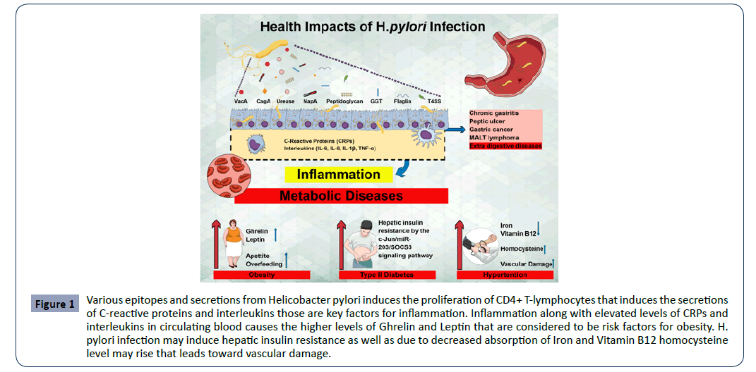 hsj-inflammation