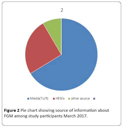 hsj-information