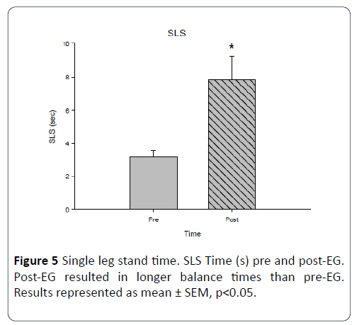 hsj-leg-stand