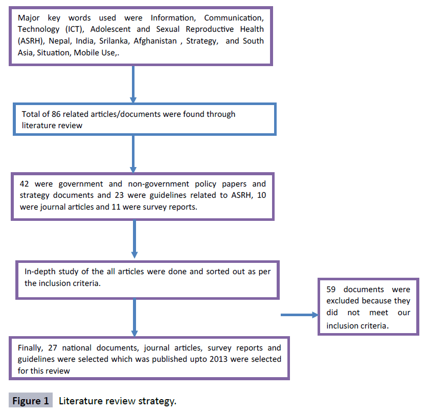 hsj-literature-review-strategy