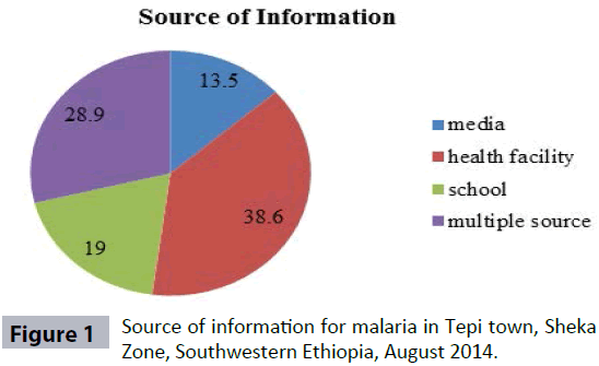 hsj-malaria-southwestern-ethiopia