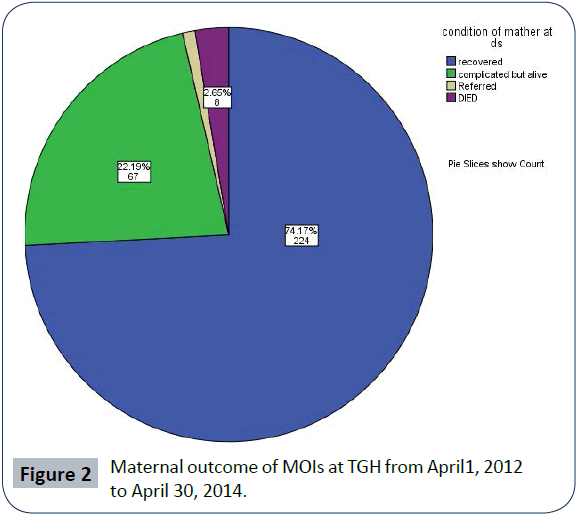 hsj-maternal-outcome