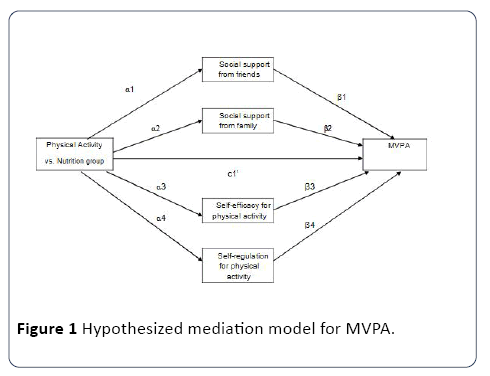 hsj-mediation