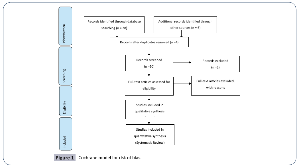 hsj-model