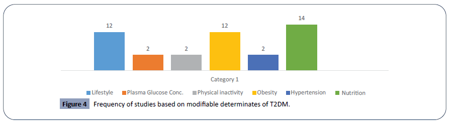 hsj-modifable