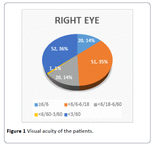 hsj-patients