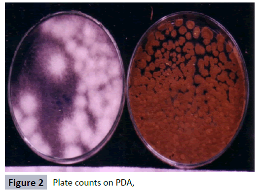 hsj-plate-counts