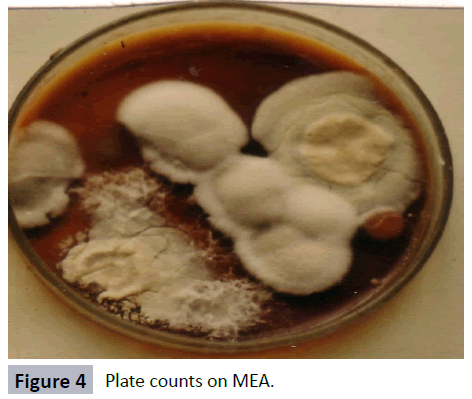 hsj-plate-counts