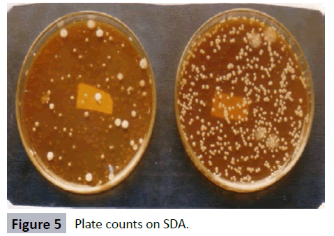 hsj-plate-counts