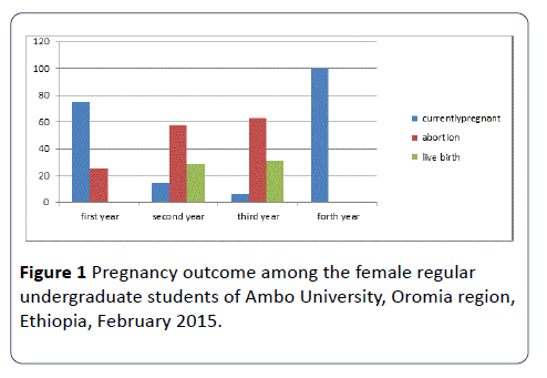 hsj-pregnancy