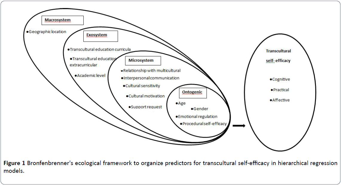 hsj-ronfenbrenner-ecological