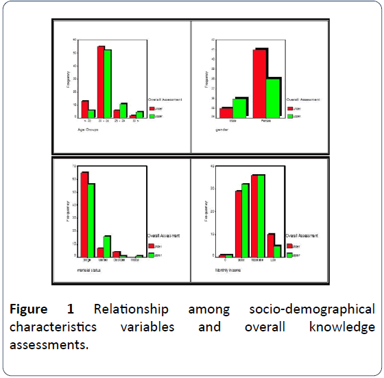 hsj-socio-demographical-characteristics