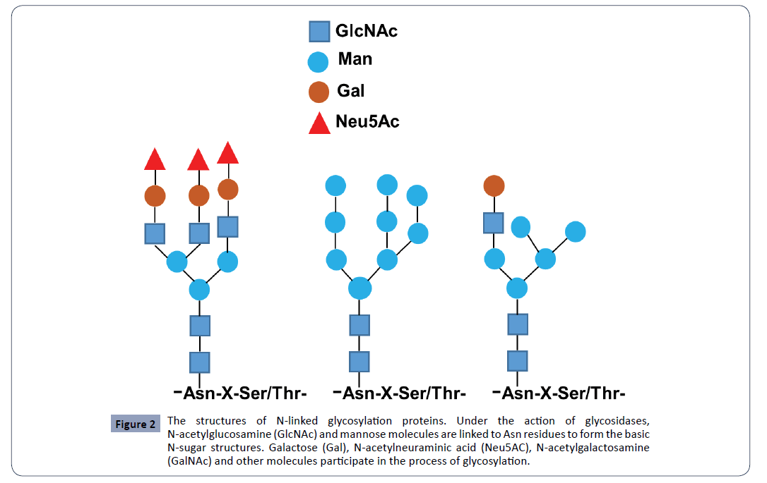 hsj-structures