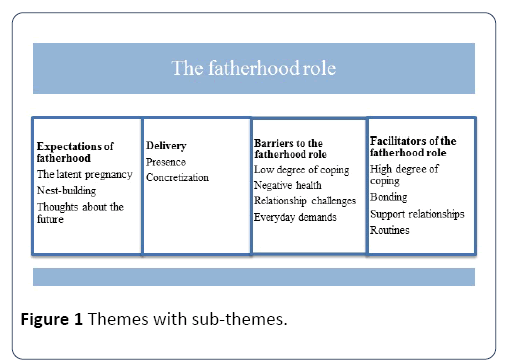 hsj-sub-themes