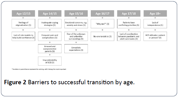 hsj-transition-age