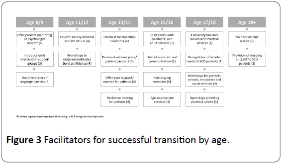 hsj-transition-age