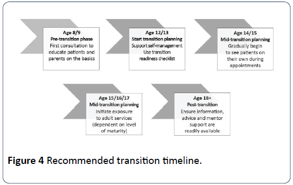 hsj-transition-timeline