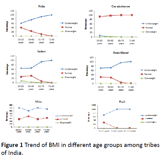 hsj-trend-age-tribes