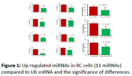 jbiomeds-BC-cells