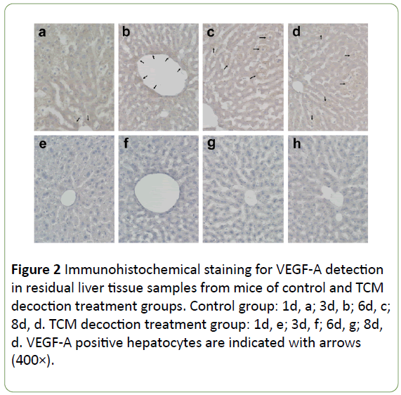 jbiomeds-Immunohistochemical