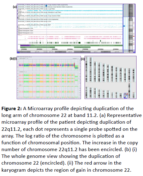 jbiomeds-Microarray-profile