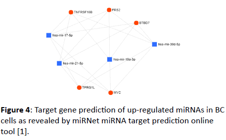 jbiomeds-Target-gene