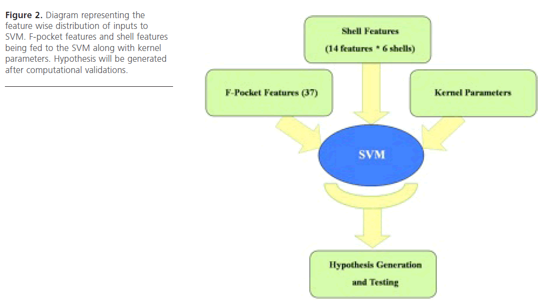 jbiomeds-being-fed-SVM