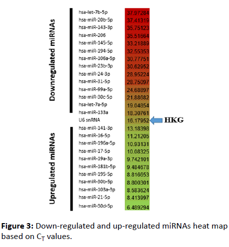 jbiomeds-heat-map