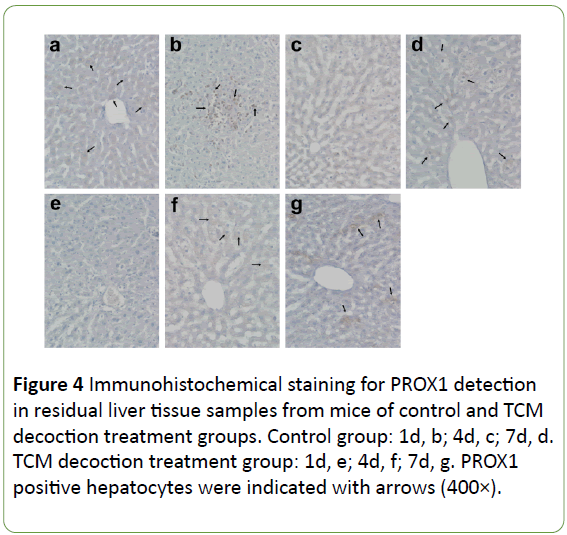 jbiomeds-liver-tissue-samples