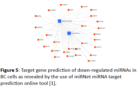 jbiomeds-online-tool