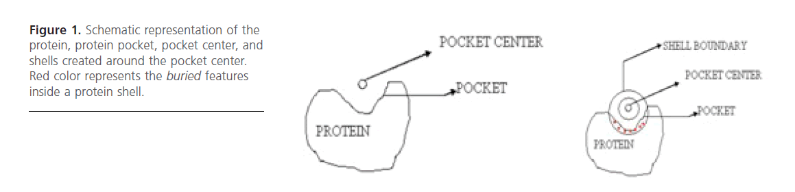 jbiomeds-protein-pocket