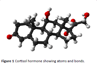 jneuro-Cortisol-hormone-atoms
