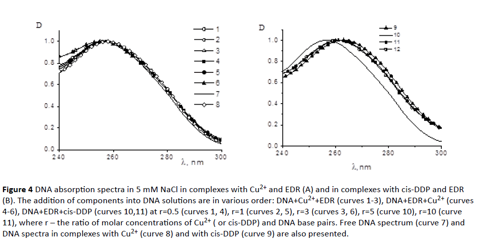 jneuro-DNA-absorption-spectra