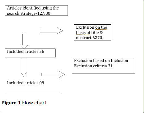jneuro-Flow-chart