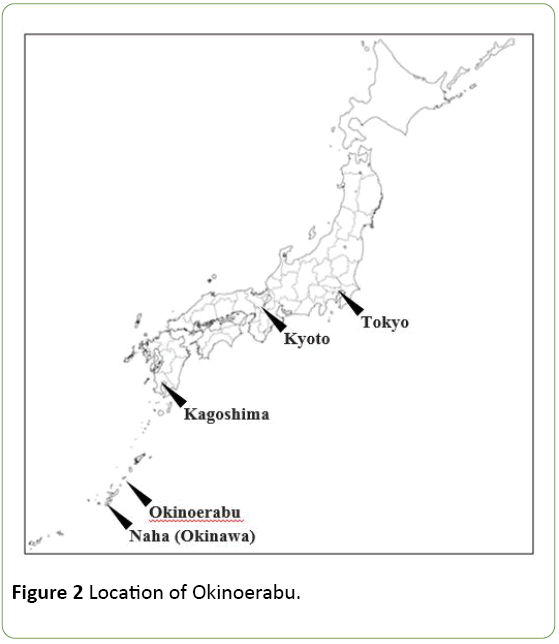 jneuro-Location-Okinoerabu