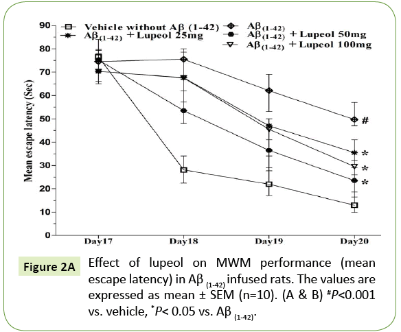 jneuro-MWM-performance