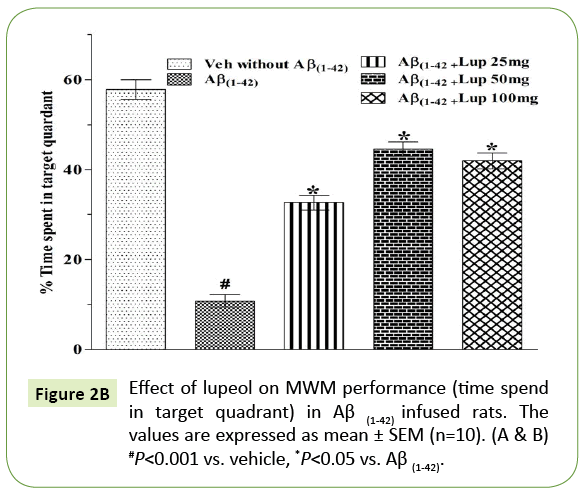 jneuro-MWM-performance