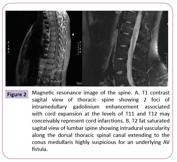 jneuro-Magnetic-resonance