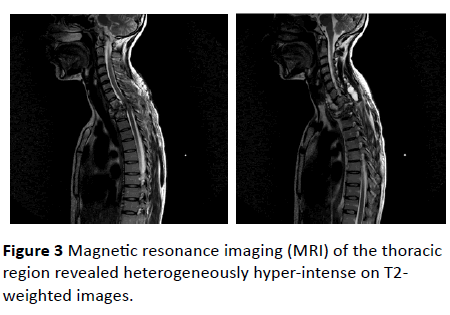 jneuro-Magnetic-resonance