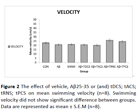 jneuro-Swimming-velocity