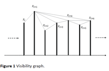 jneuro-Visibility-graph