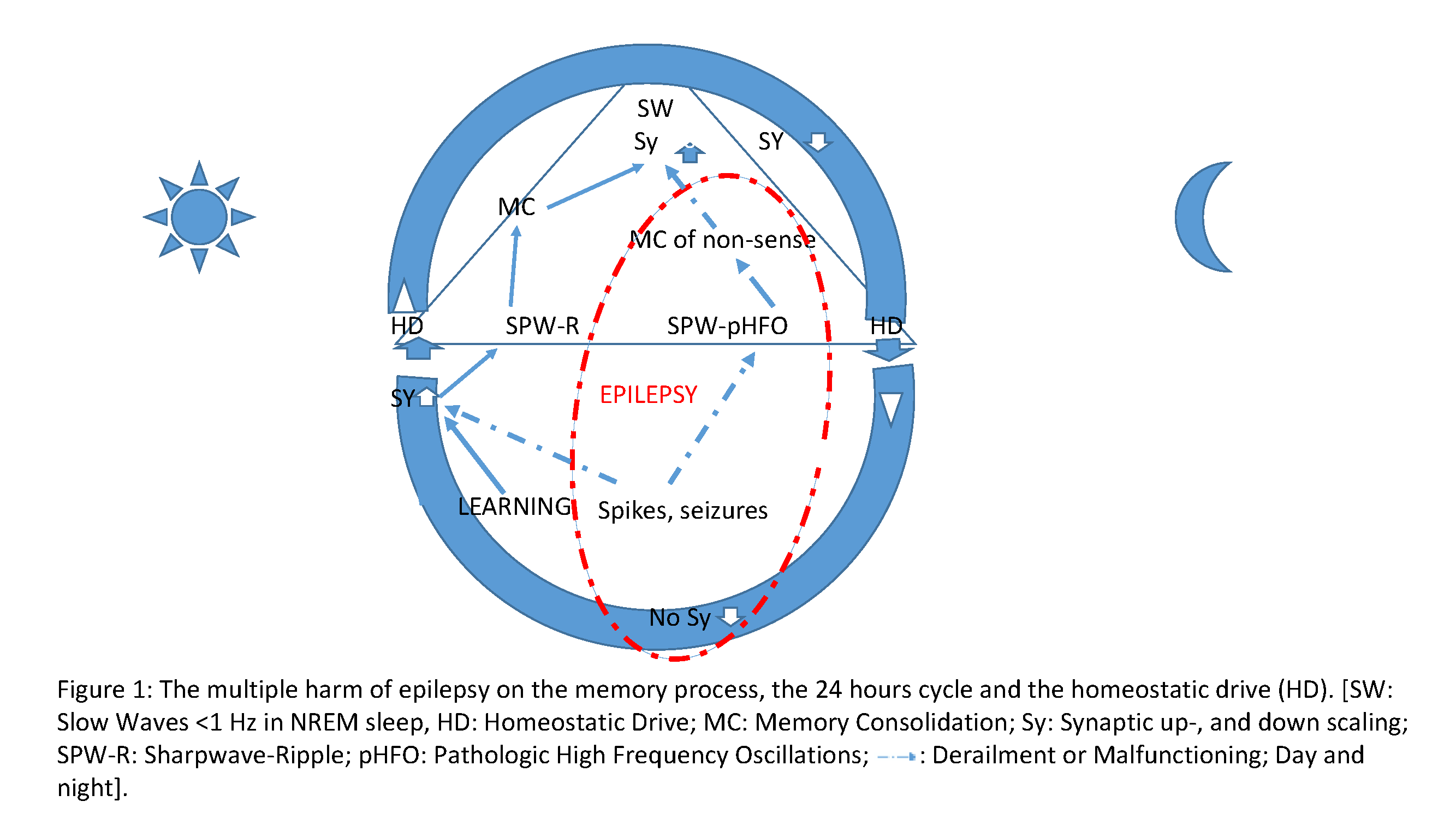 jneuro-epilepsy-memory