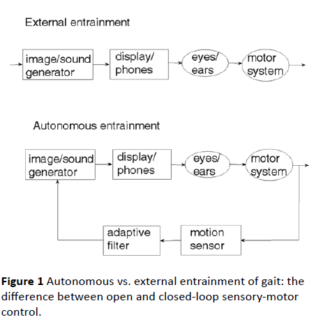 jneuro-external-entrainment